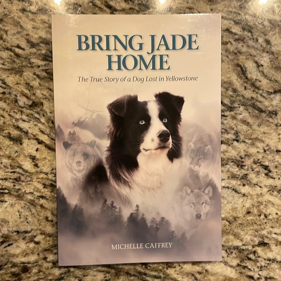 NWT Chronicle Books  ABC  Flash Cards. Size = 6 x 8 inch each . - Picture 1 of 2